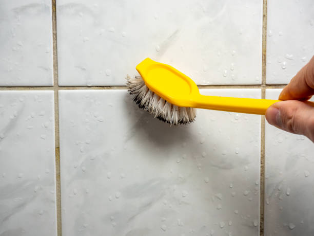 Best Post-Flood Mold Remediation in Cross City, FL
