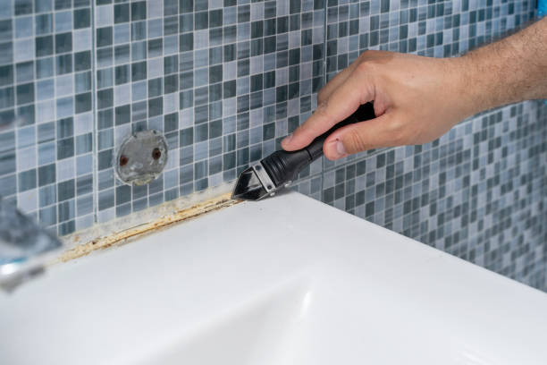 Best Residential Mold Remediation in Cross City, FL